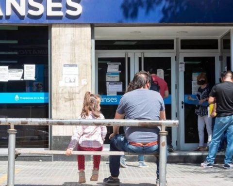 ANSES: who receives their salaries this Thursday, November 21