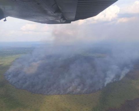 After a month, help arrives to put out the fires in Madidi