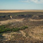 After five years of increase, deforestation in the Cerrado has fallen