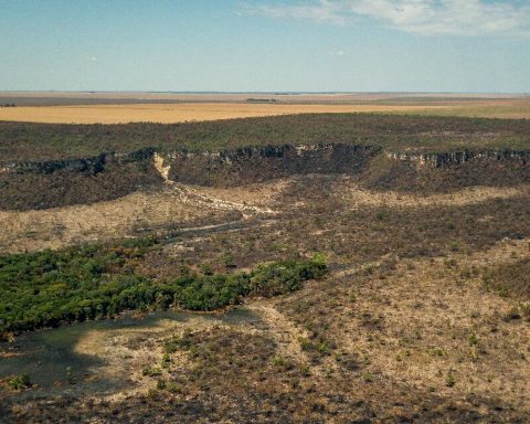 After five years of increase, deforestation in the Cerrado has fallen