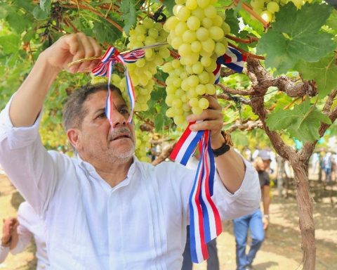 Agricultura dice que país exportará uva en abril