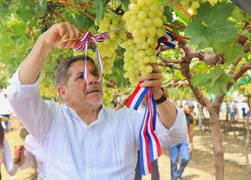 Agricultura dice que país exportará uva en abril