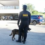 Refuerzan con agentes y unidades caninas aeropuertos y puertos por época navideña 