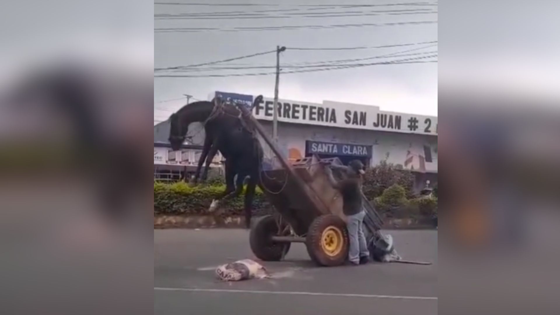 Animal abuse goes viral on social networks: A horse overloaded with blocks is left hanging in a cart