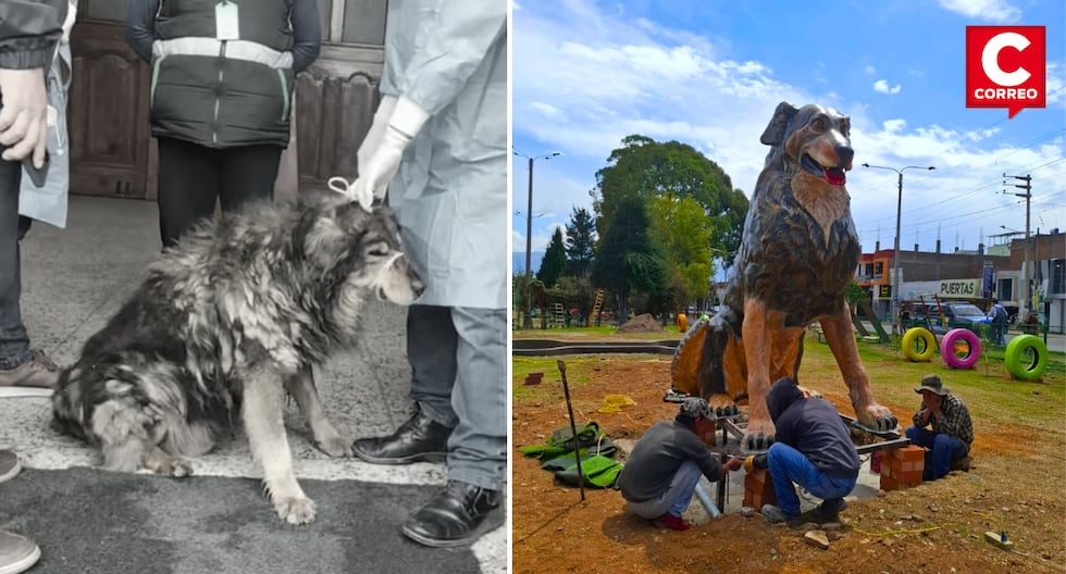 'Bear': The stray dog ​​that now has its own monument and is the symbol of the dog park (VIDEO)