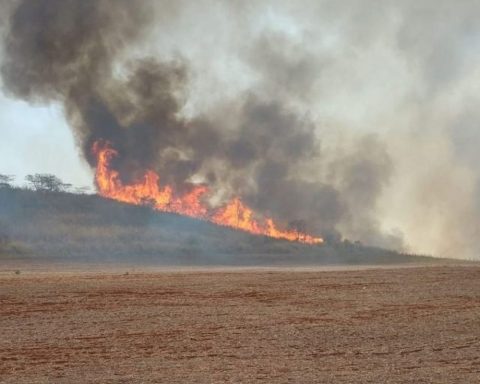 Brazilians think the economy could be devastated by climate events