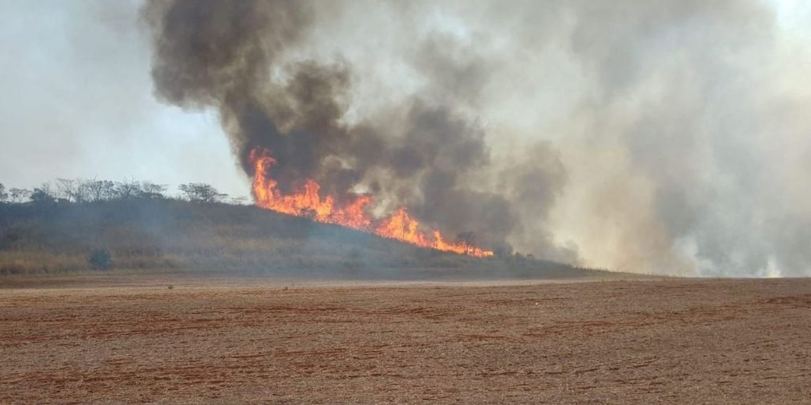 Brazilians think the economy could be devastated by climate events