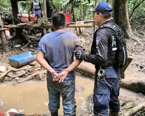 Costa Rican authorities arrest and prepare deportation of 19 Nicaraguans captured in illegal mining activity