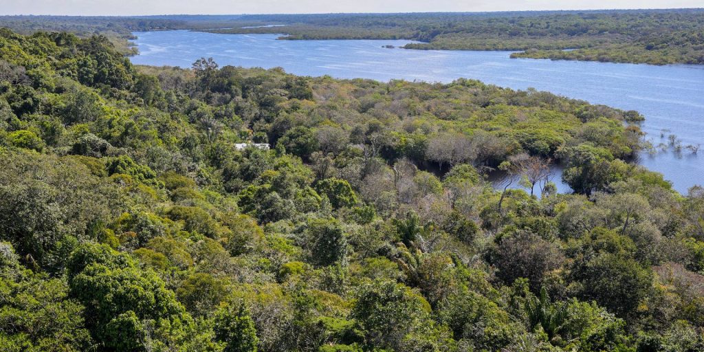 Deforestation in the Amazon falls 30.6% in one year