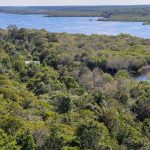 Deforestation in the Amazon falls 30.6% in one year