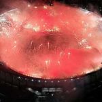 Demichelis celebrated the River Plate fans' flare show