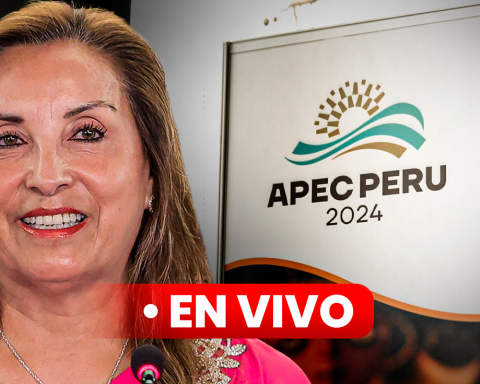 Dina Boluarte at APEC 2024, LIVE: minute by minute of the activities, countries and presidents participating