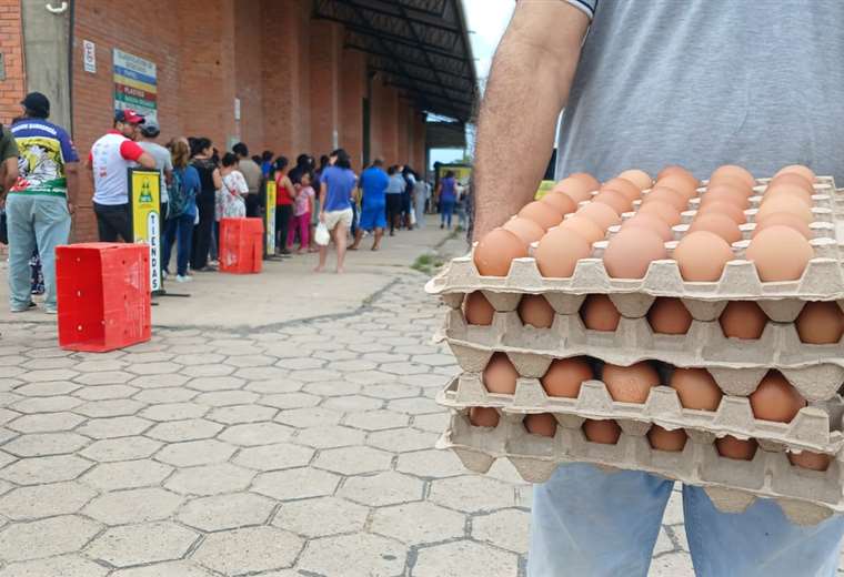 Egg producers face an increase of up to 60% in the price of inputs