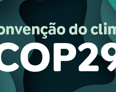 Environmentalists say COP29 agreement is insufficient