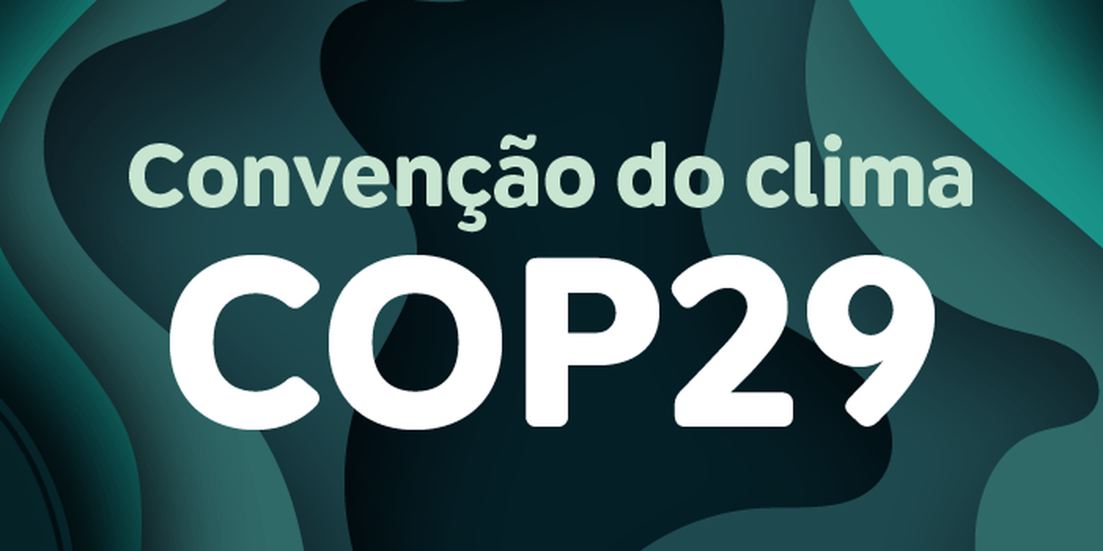 Environmentalists say COP29 agreement is insufficient