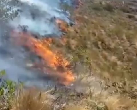 Four forest fires in the Piura mountains: residents ask for urgent support