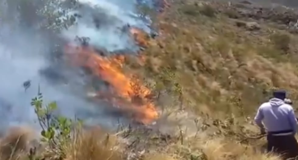 Four forest fires in the Piura mountains: residents ask for urgent support