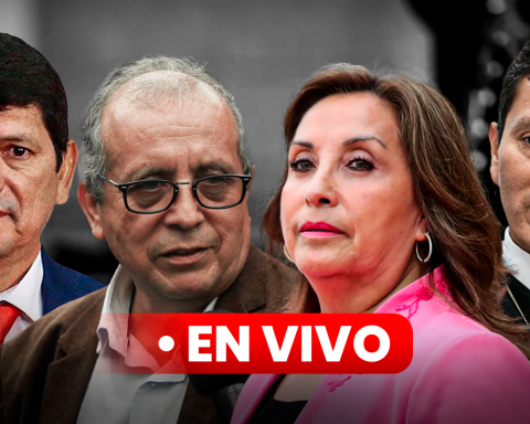 Fourth Power, Panorama, Punto Final LIVE: today, Sunday, November 24, latest NEWS from Sundays