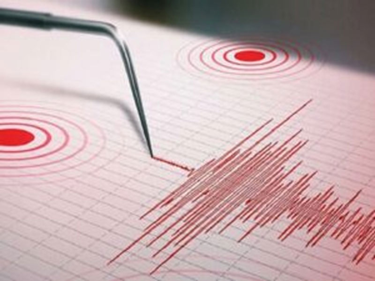 Funvisis reports strong earthquake in Zulia