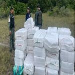 GNB seized 5 tons of marijuana in the Amazonas channel