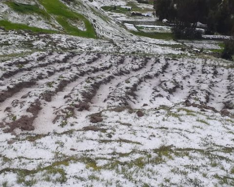 Huancayo: 159 hectares of crops affected by the hailstorm