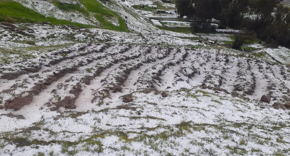 Huancayo: 159 hectares of crops affected by the hailstorm