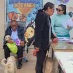 Huancayo: More than 60 dogs and cats were sterilized in Chilca