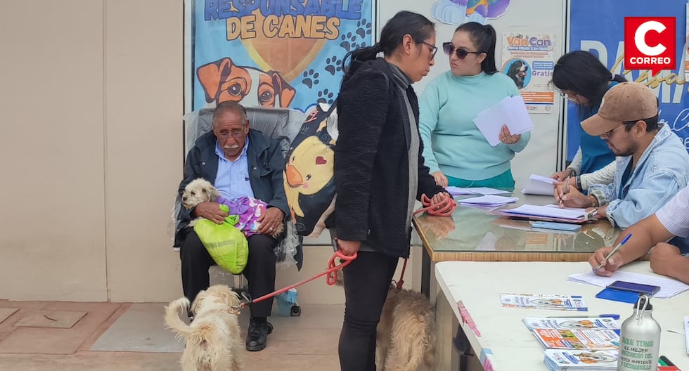 Huancayo: More than 60 dogs and cats were sterilized in Chilca