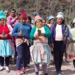 Huancayo: They will plant 7,000 pine and quinual seedlings to recover Sapallanga meadows