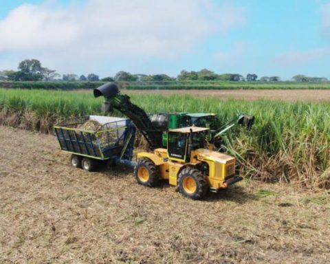 Incauca modernizes its harvest and eliminates sugarcane burning