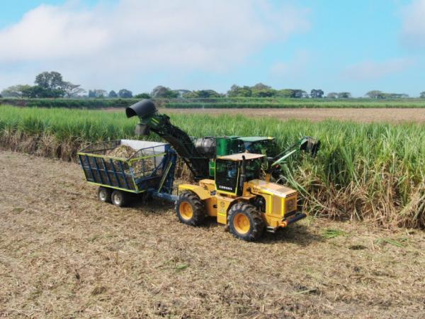 Incauca modernizes its harvest and eliminates sugarcane burning