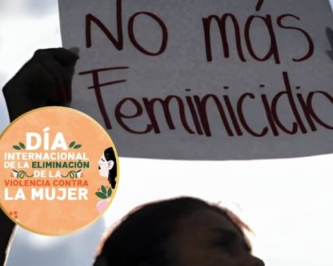 Día Internacional contra la Violencia de Género: 745 feminicidios exigen justicia en Colombia