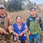 Junín: Catastrophic Agricultural Insurance offers a subsidy of 800 soles per hectare lost