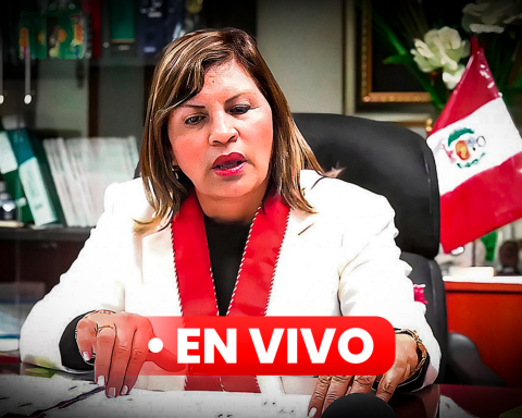 LIVE | The Judiciary will decide whether to order 18 months of preventive detention for prosecutor Elizabeth Peralta for the 'Chibolín' case