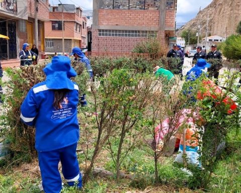 La Oroya: They recover green areas that were used to drink liquor