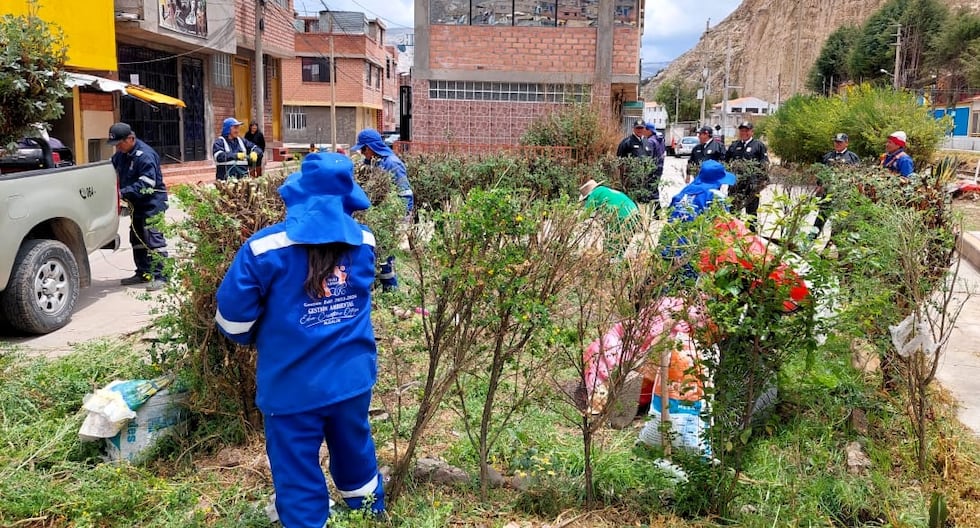 La Oroya: They recover green areas that were used to drink liquor