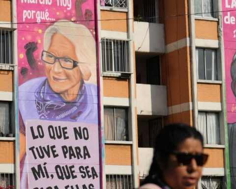 Las Siemprevivas, Brugada's strategy against family violence in CDMX