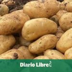 Limber Cruz: DR managed to be self-sufficient in potato production