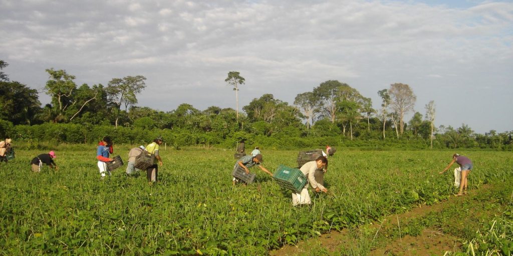 Lula sanctions law that authorizes R$500 million for family farming