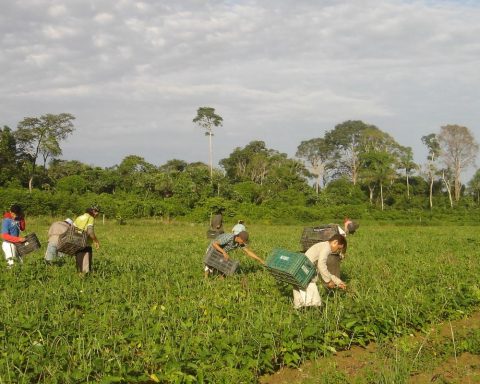 Lula sanctions law that authorizes R$500 million for family farming