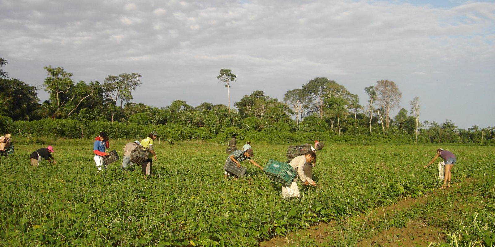 Lula sanctions law that authorizes R$500 million for family farming