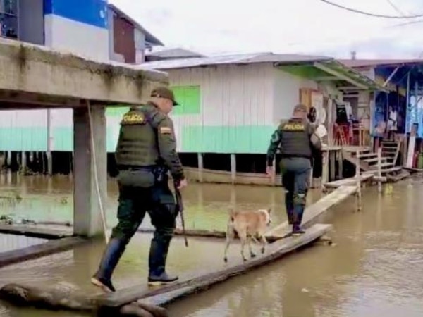 'Mocho', the dog that faithfully accompanies Police patrols in Chocó: a symbol of love and loyalty