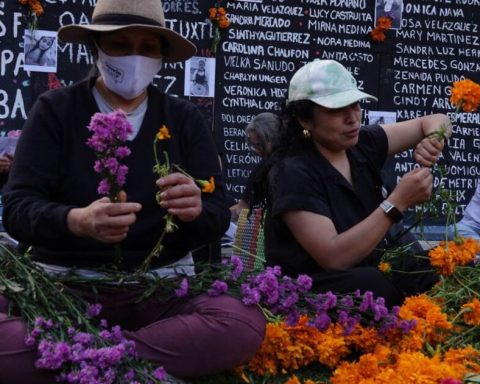 Murdered journalists and search mothers are honored on this Day of the Dead