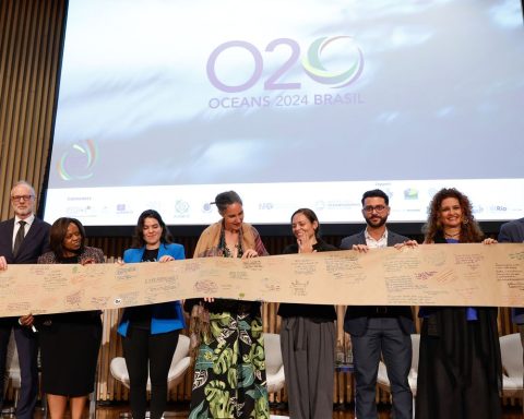 Oceans 20: group asks the G20 for sustainable ocean management