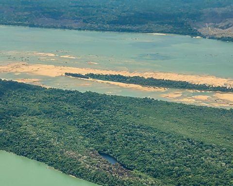 Operation seeks to remove invaders from Munduruku Indigenous Land, in Pará