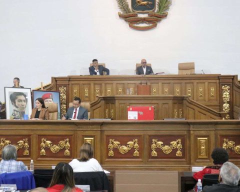 Parliament paid tribute to Ali Primera