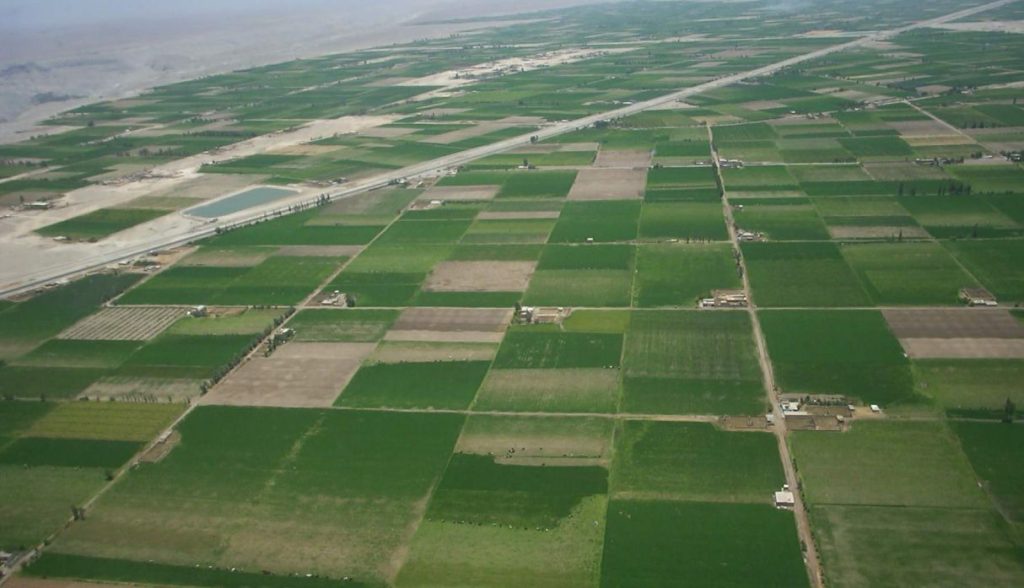 Peruvian agriculture: A new path