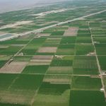 Peruvian agriculture: A new path