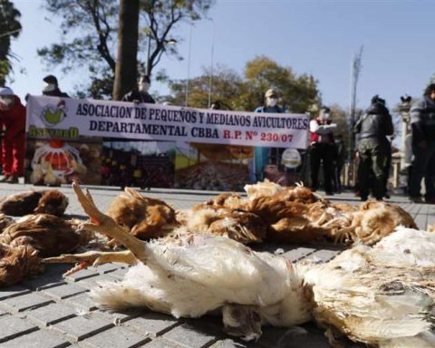 Productive sectors of Cochabamba ask for tax, banking, customs amnesty and flexibility in the payment of bonuses