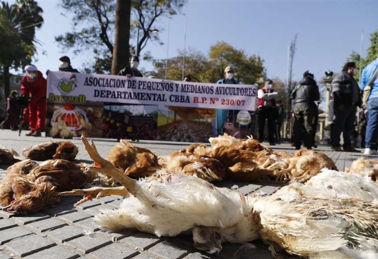 Productive sectors of Cochabamba ask for tax, banking, customs amnesty and flexibility in the payment of bonuses